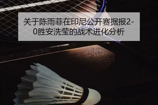 关于陈雨菲在印尼公开赛据报2-0胜安洗莹的战术进化分析