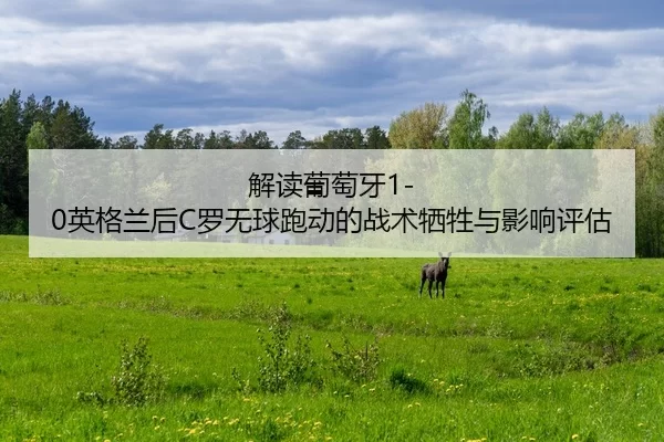jie-du-pu-tao-ya-ying-ge-lan-hou-luo-wu-qiu-pao-dong-de-zhan-shu-xi-sheng-yu-ying-xiang-ping-gu-2-379.jpg